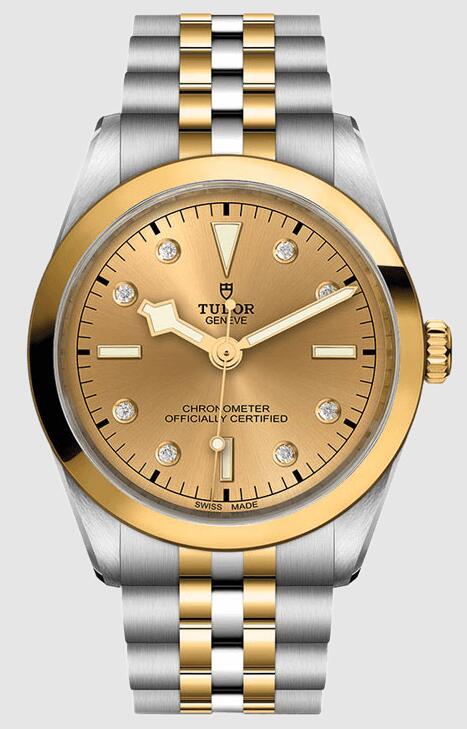 Tudor Black Bay 36 S&G 79643-0008 Replica Watch